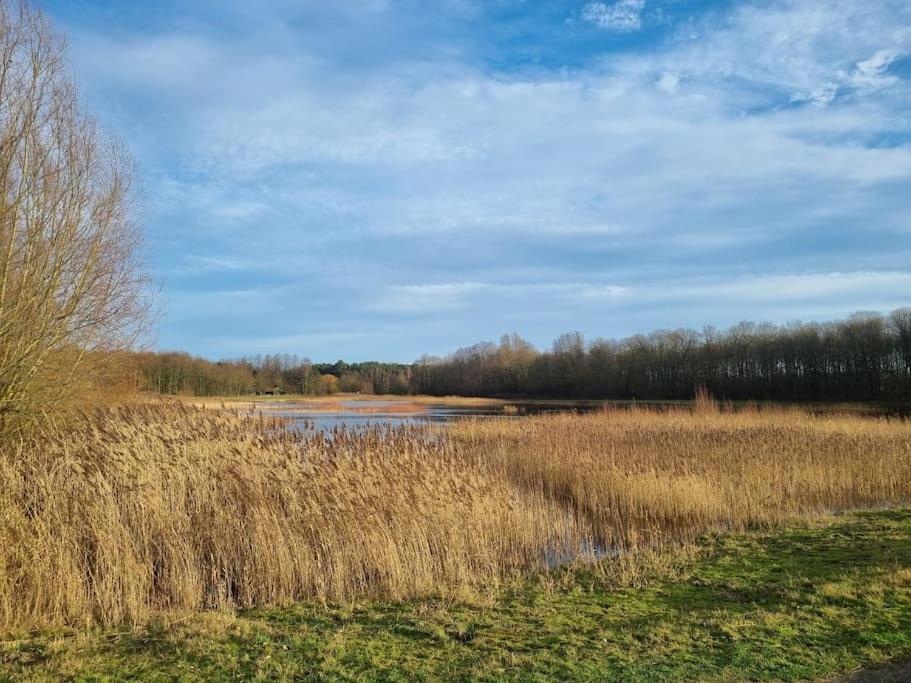 Luxe-Avontuur In Een Romantische Cabin In Het Bos Stekene Dış mekan fotoğraf